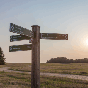 Wanderwegweiser bei Borne (c) Jedrzej Marzecki (1)